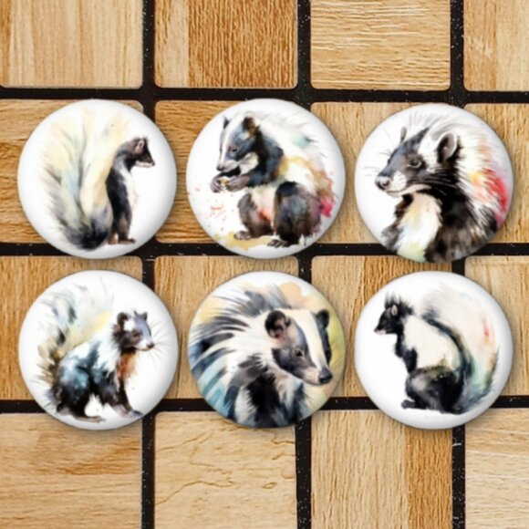 Skunk Fridge Magnets Set Of 6 Metal Magnets For Home Office Kitchen School - Picture 1 of 6